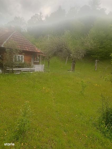 Vand casa ,zona Mun?ilor Apuseni !!! - 4