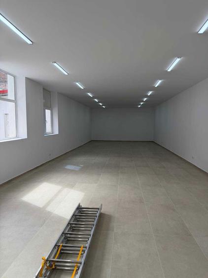 Spatii comerciale / depozitare de inchiriat Viilor 56, Sector 5 - 6