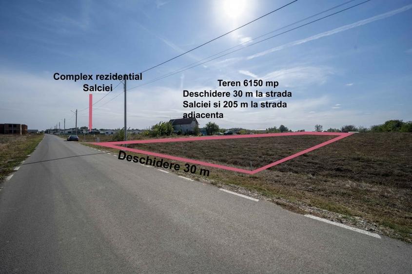 Domnesti, Salciei, Haltei, Ciocarliei, teren 6000 mp, drum asfaltat cu utilitati - 10