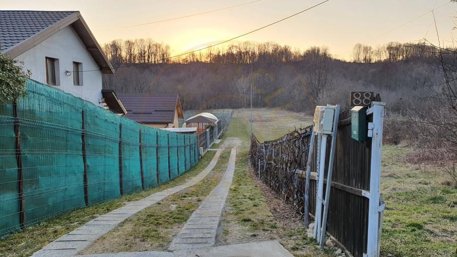 Teren intravilan pentru Casa de Vacanta - Mosoaia -Basangesti - 1