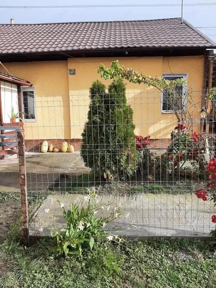 Casa Caline?ti, Carstieni - 8