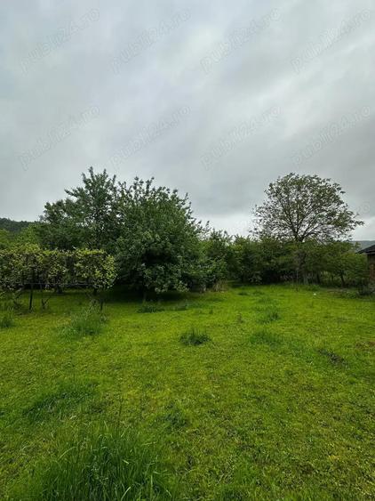 Vand casa 4 camere cu gradina 2.885 mp. Cristioru de Jos, Bihor, E 79, centrul comunei - 2