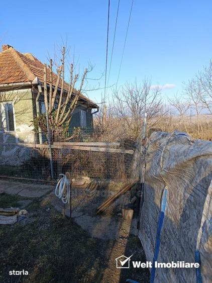 Teren intravilan in Boju - 2