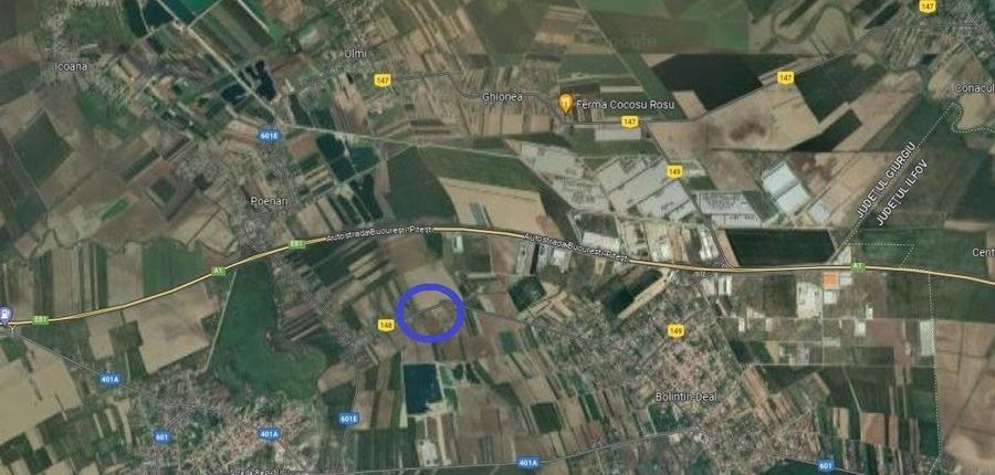 Vanzare teren 5.000 mp, stradal, DC 148 Bolintin Deal - Poenari - 2