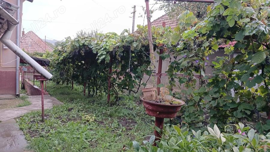 Casa de vanzare (parter + etaj) - 1