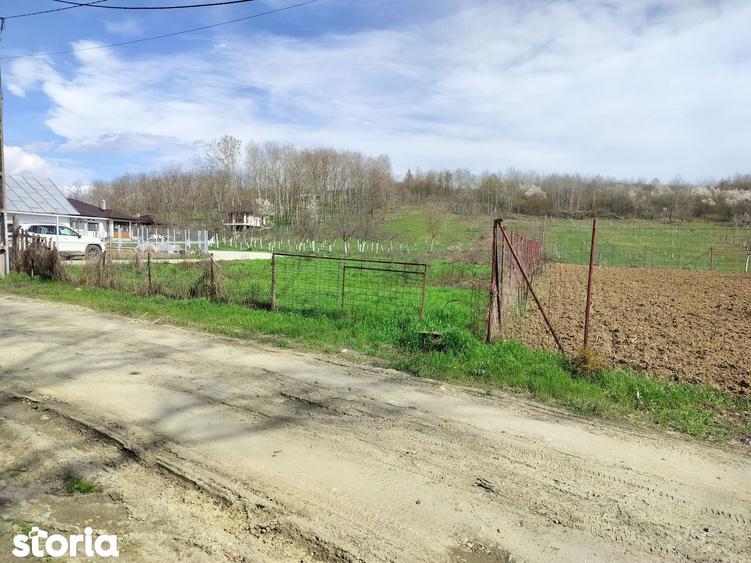 Vand teren 2 km de Mioveni - 4