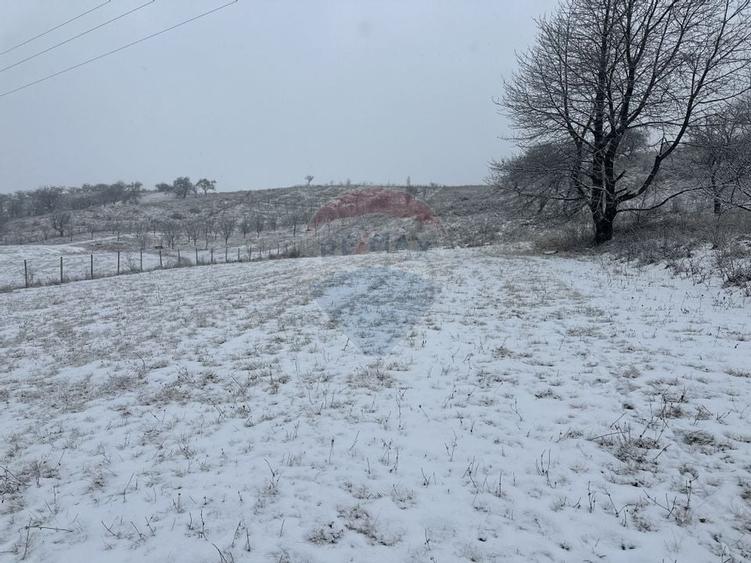 Teren 8,300mp Negresti (Dobreni) / Drumul DEALUL OTEL - 4