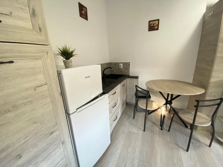 Apartament cu 1 camera, zona Podu Ros - 5