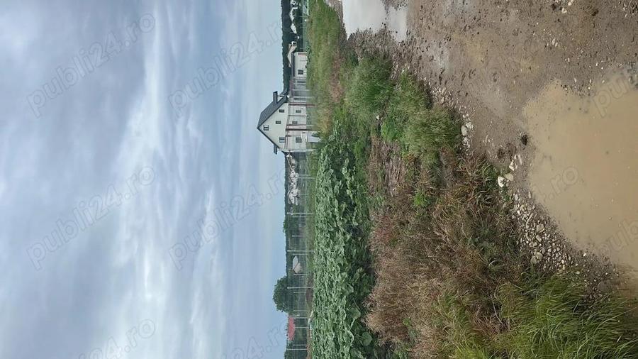 Vanzare teren casa la padure Moara Vlasiei - 3