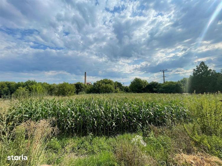 Casa cu teren de 1233 mp la 25 km de Oradea - 10