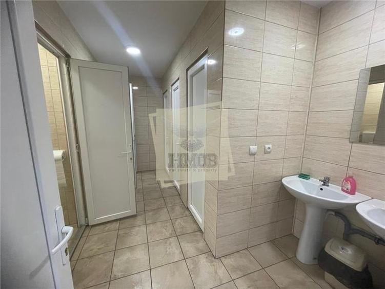 Hale industriale 5457 mp productii metalice in Cisnadie - 5