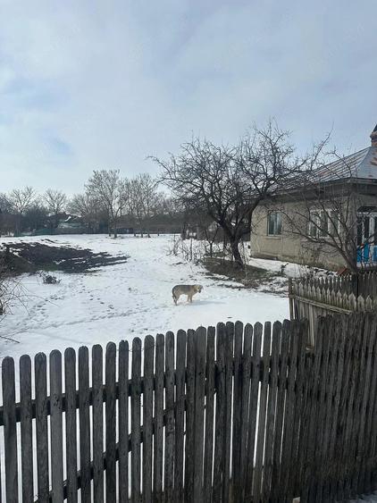 Vand casa 4 camere in Ciorasti Mari, jud Vrancea - 1