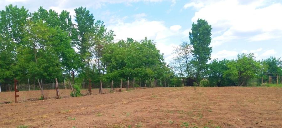 Lipia 10 minute Snagov - 6