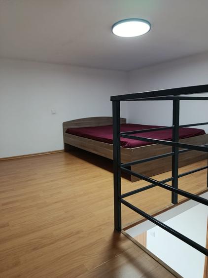 Propun spre vinzare Garsoniera 2 camere in 2 nivele 33mp - 4