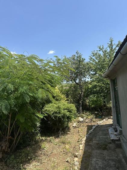 Casa in Ghioroc jud Arad - 3