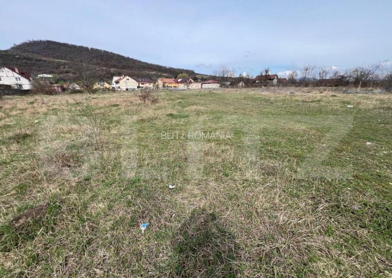Teren Intravilan de vanzare, 4400 mp, zona Viisoara Teren Intravilan de vanzare, 4400 mp, zona Viisoara