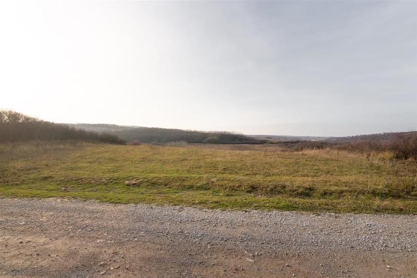 RECO . Teren extravilan . Uileacul de munte - 7