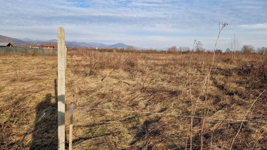 23 ari intravilan Busag - 1