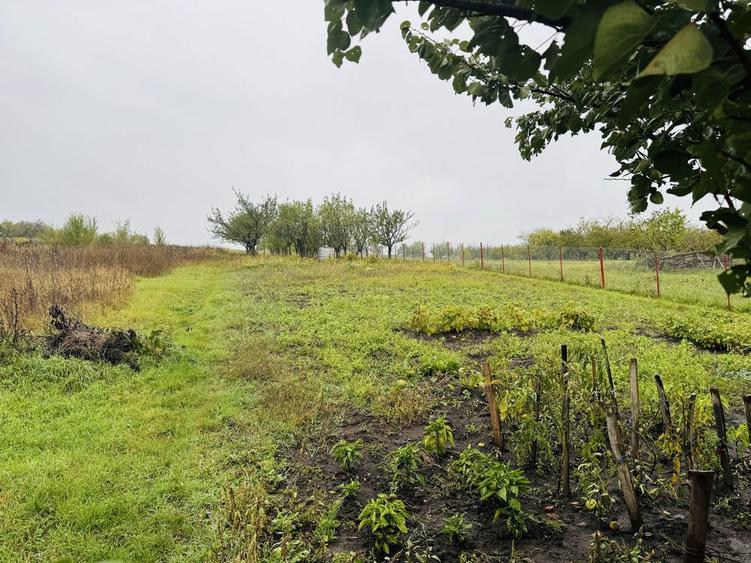 Casa Dezmir cu 10 arii de teren - 7