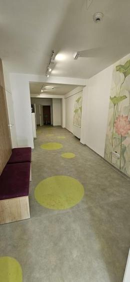 Gradinita/scoala, 480 mp utili, teren 1365 mp, zona Corneliu Coposu - 10