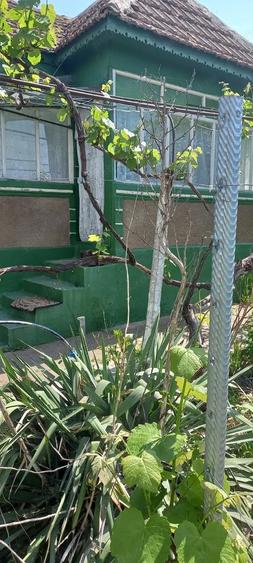 Casa batraneasca 2 corpuri - loc. Mircea Voda, Tulcea - 6