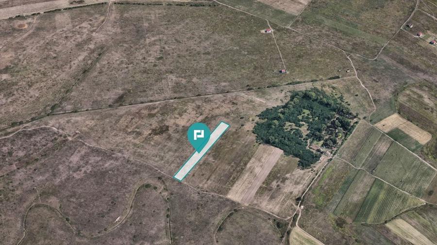 Teren extravilan de 10.000 mp - 2