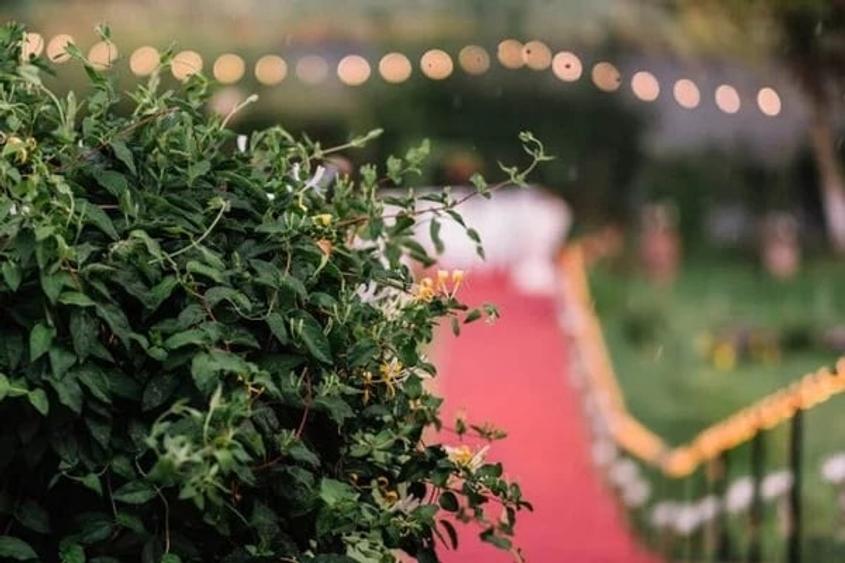 Cort evenimente cu deschidere la lac. Nunti si evenimente programate si in 2026! - 18