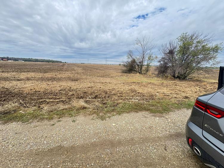 MAGURELE iF LOCALITATEA PRUNI ,LOTURI DE VANZARE - 10