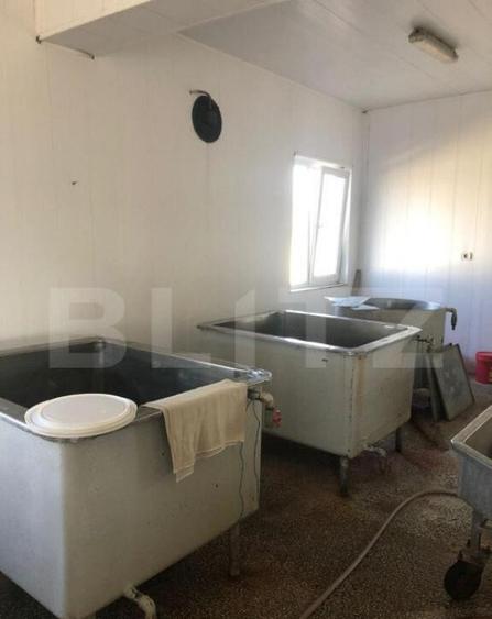 Afacere la cheie + casa, 160mp, Baraitaru - 5