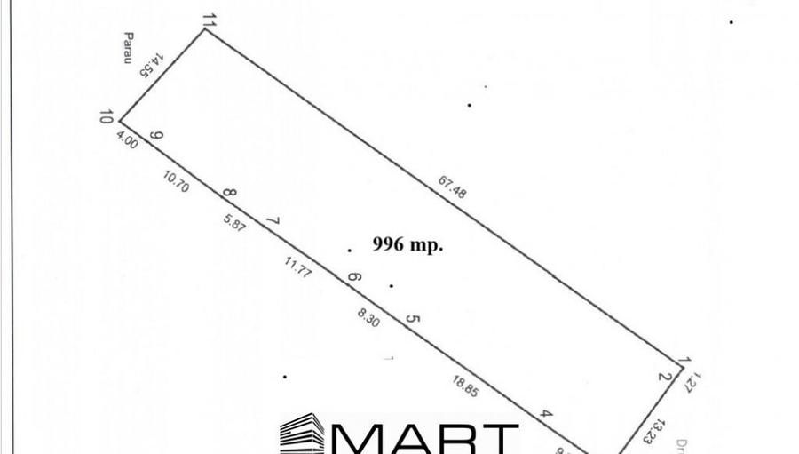 Teren intravilan 1000mp Tropinii Noi - 1