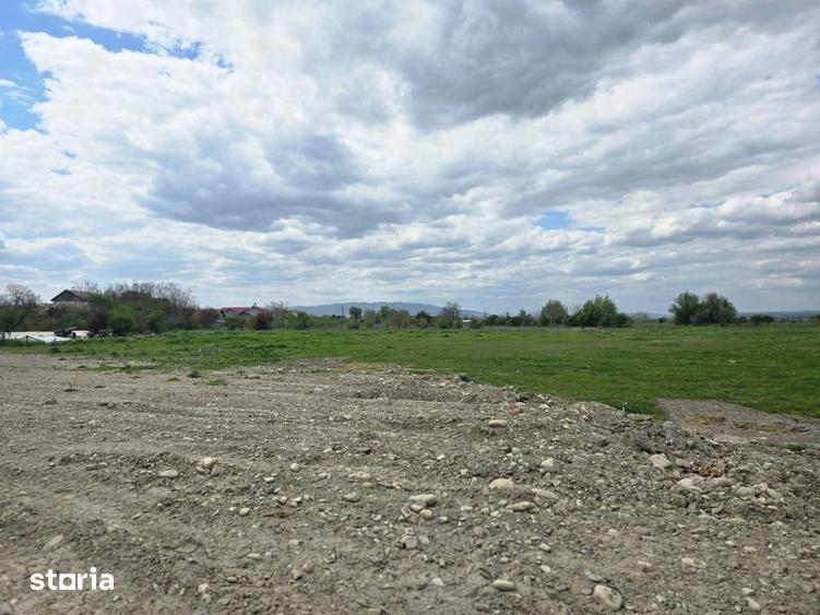 Teren intravilan arabil 16.591 mp Bizighe?ti, Vrancea - 7