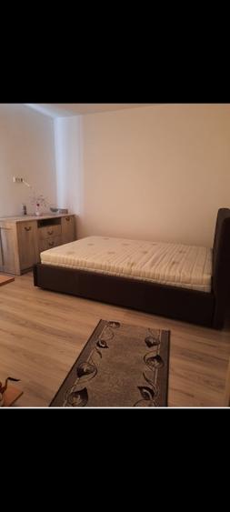 Apartament de vânzare în oraș Buziaș  - 2