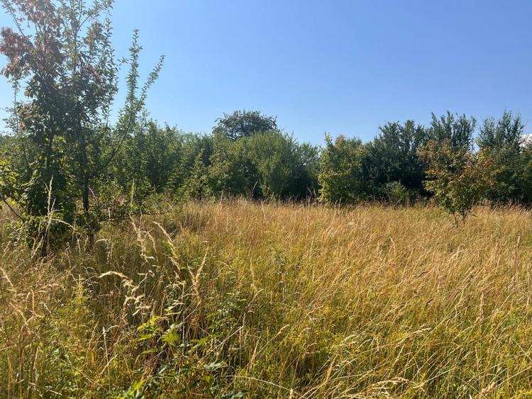 Teren cu PUZ zona strazii Macesului, ideal constructie casa - 1