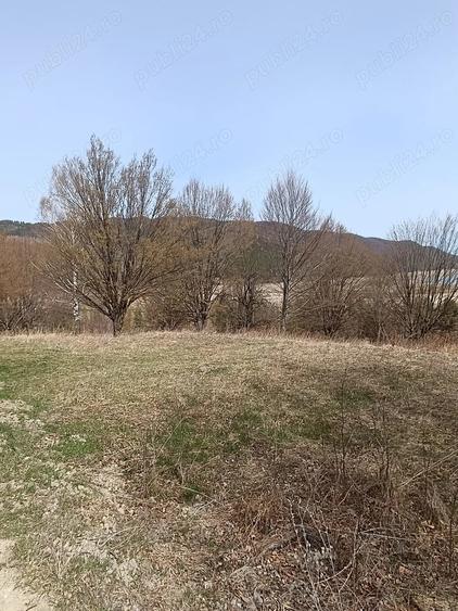 Teren Darmanesti, zona lac Valea Uzului, 3200 mp - 4