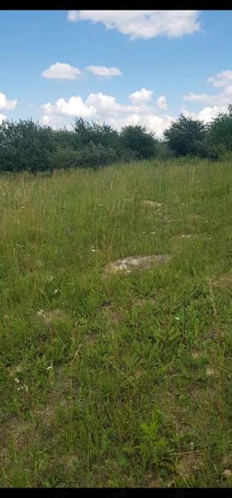 Teren de 3000 mp, în Feleacu