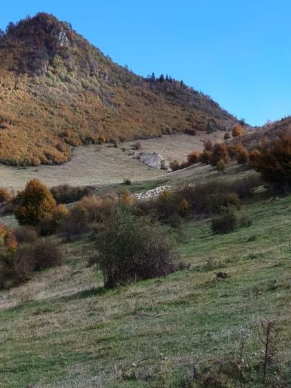 VÂND TEREN EXTRAVILAN 10.000 MP – ZONĂ MONTANĂ ARGEȘ - 5