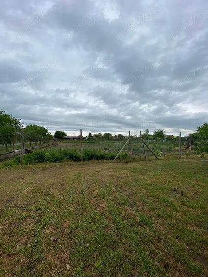 Casa de vanzare in Iecea Mica - 3