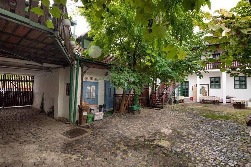 RECO Pensiunea Gobe + 2 Case individuale- Afacere cu traditie si renume in Orade - 7