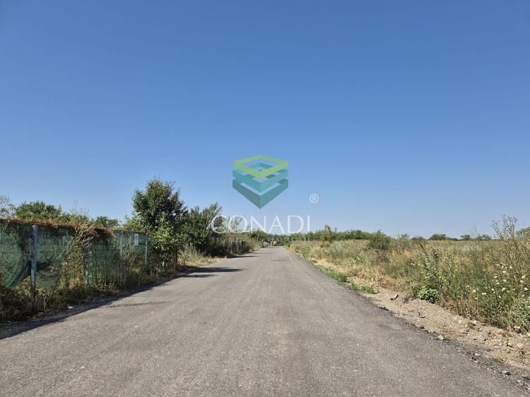 Teren de vanzare cu autorizatie pentru 2 hale - Otopeni - 10.000 mp - 13