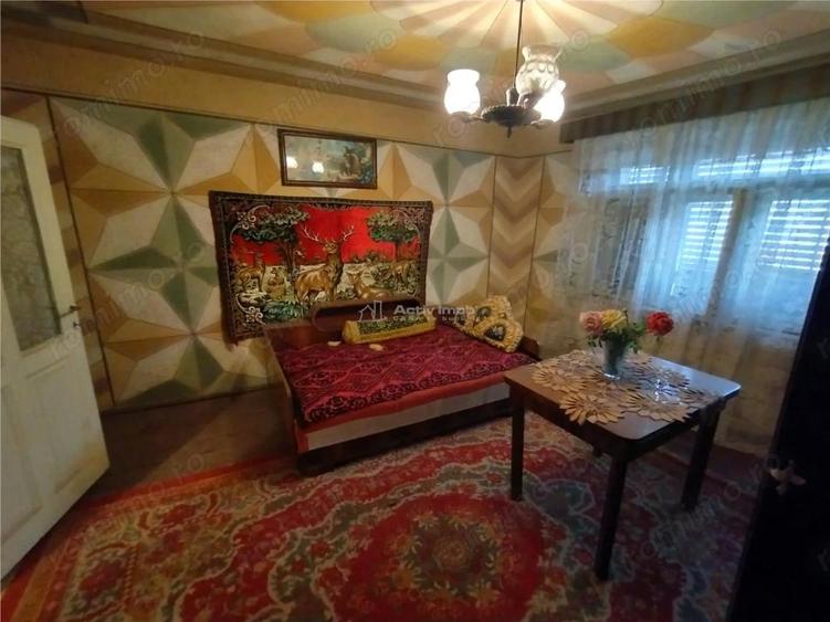 Bogodint, Casa cu 4 Hectare Teren, Pret Negociabil - 20