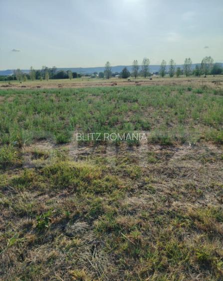 Teren intravilan 2895 mp, Gogosu Dolj