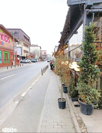 Teren pentru dezvoltare imobiliara 9.800 mp Deschidere dubla - 6