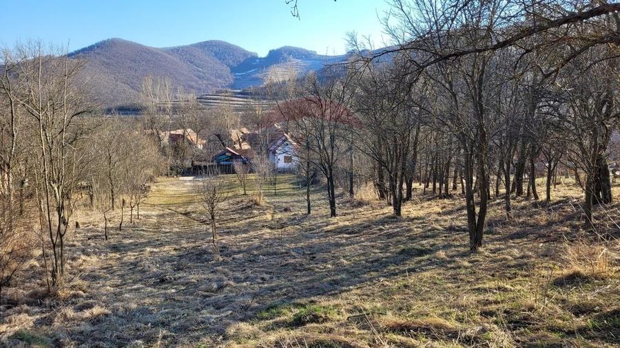 Teren intravilan 1.271 mp – Izvoarele, jud. Alba - 22