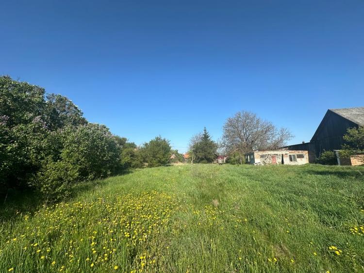 Casa Individuala Ozun Covasna teren 3200 mp - 11