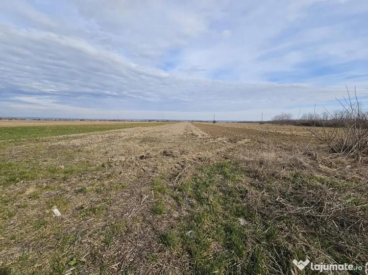 Teren intravilan - 10