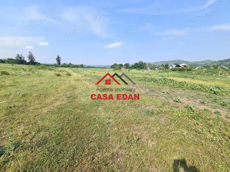 Teren intravilan in Campina, 7500mp--35e - 8