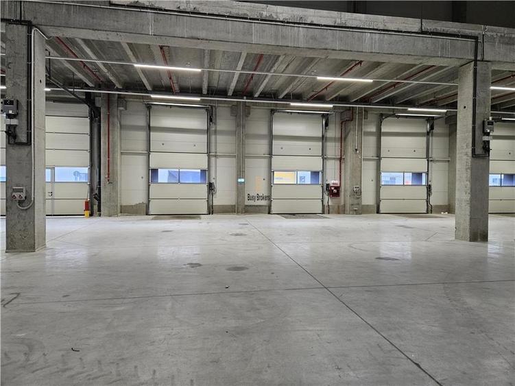 Spatiu Industrial - 6000 mp - Logistica - Productie - Depozitare - Distributie - 4