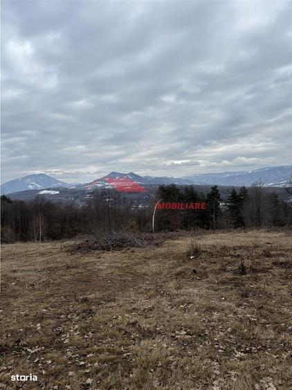 Teren cu 2 izvoare, Prundul Bargaului - 1