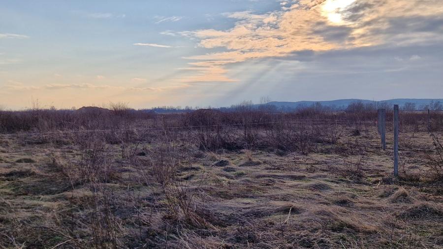 23 ari intravilan Busag - 4