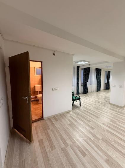 Doamna Ghica aproape de rond Doamna Ghica si Parc Plumbuita - 8